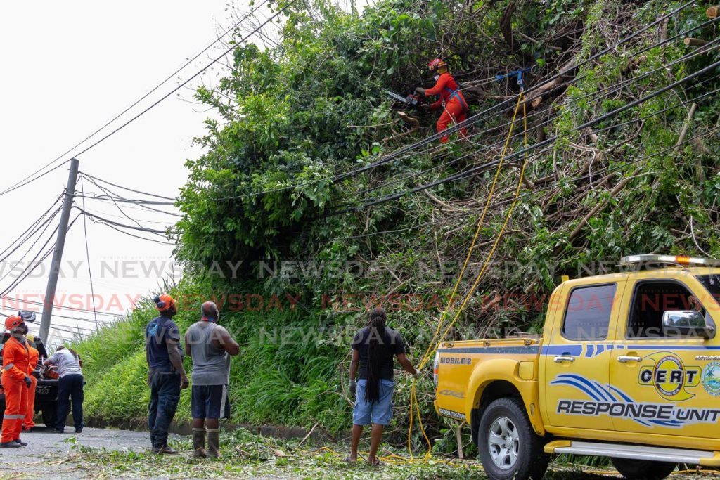 A TEMA crewman trims branches that fell on electrical lines at Concordia Village, Tobago on Saturday. - Photo by David Reid