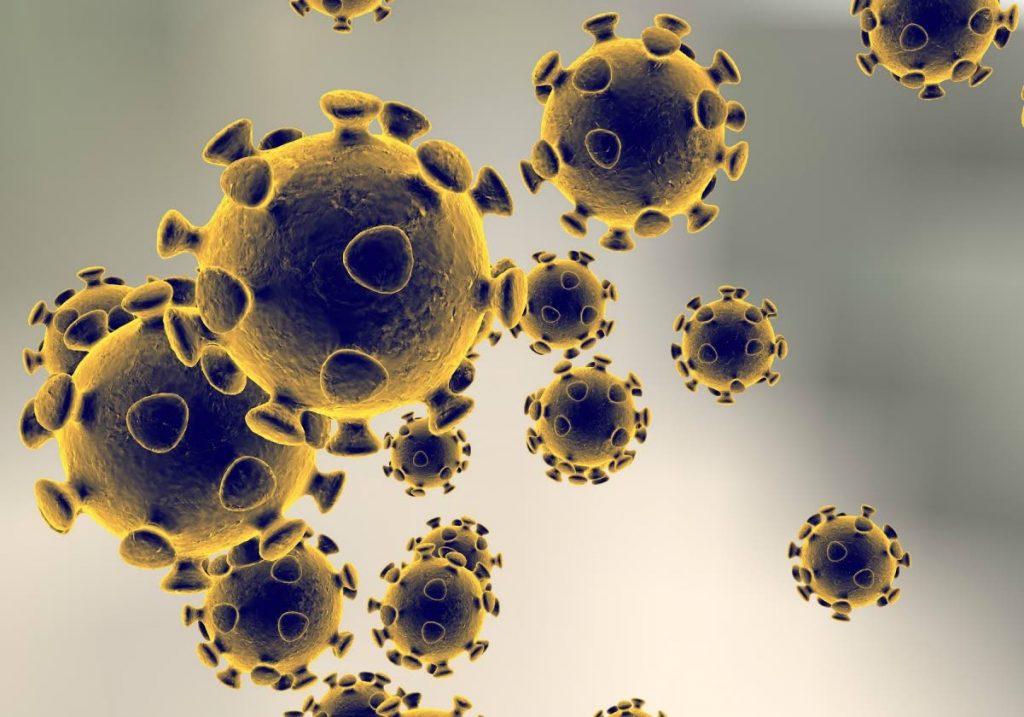 The covid19 virus as seen under a high-powered microscope. AP Photo - 