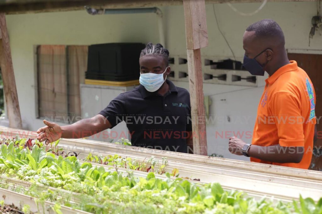 Farmer Oje Alexander, left, shows Chief Secretary Ancil Dennis some of his crops on a tour of his farm at Plymouth Road recently. - Photo courtesy THA