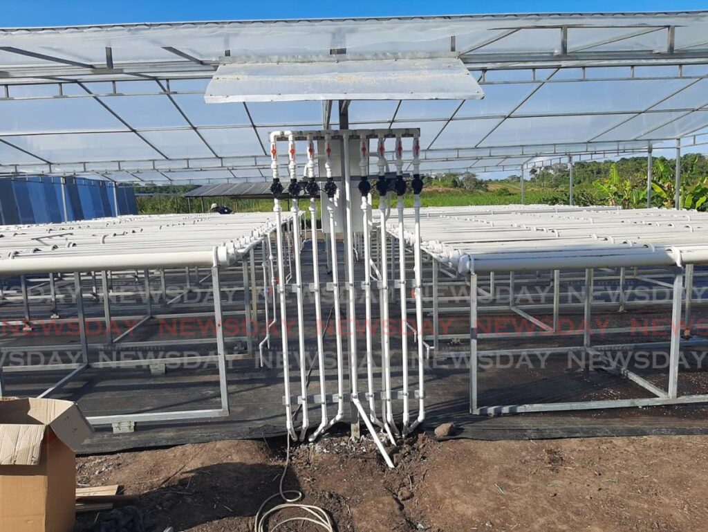 Hydropinic farm using an integrating solar photovoltaic system for its operation. Photo courtesy Conscious Agricultural Sourcing Agency. - 