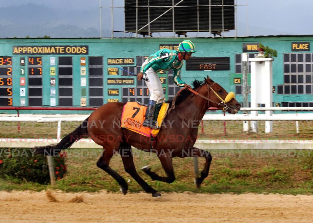 Just Exhale, ridden by Nela Mohammed, seems to be breathing a sigh of relief as he won the Guineas at the Santa Rosa Park, Arima on Saturday. - SUREASH CHOLAI