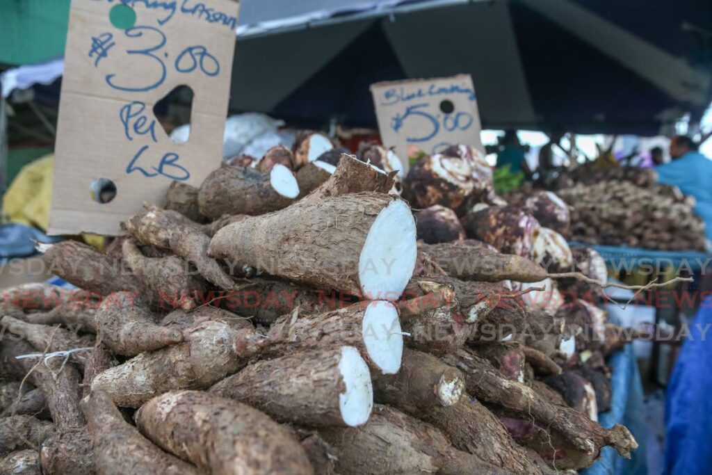 Root and Tuber Producers Association president Ramdeo Boondoo says cassava, and other root crops, can be used as alternative sources of wheat-based flour. - File photo/Jeff Mayers