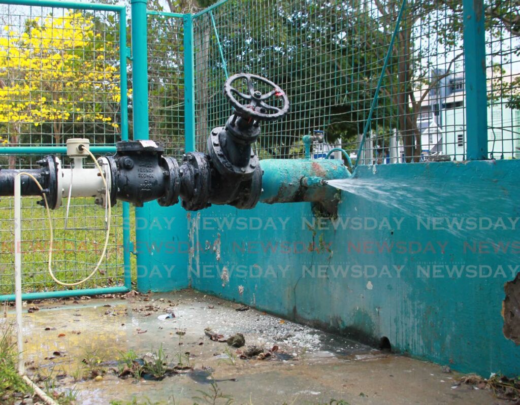 File photo: A leaking WASA main at a sub-station in the Queen's Park Savannah, Port of Spain. 