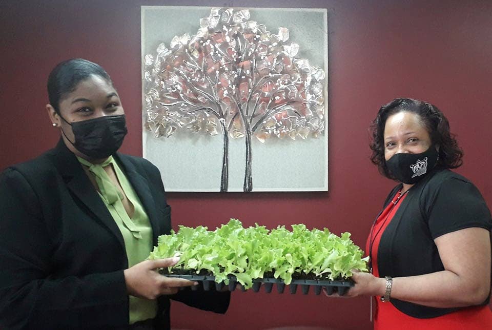 The Ministry of Social Development and Family Services (MSDFS) HIV co-ordinator Maria Cruikshank-Gibbs, right, receives seedlings from Namdevco’s manager of communications, public and stakeholder relations (Ag) Kimberly Duncan. - 