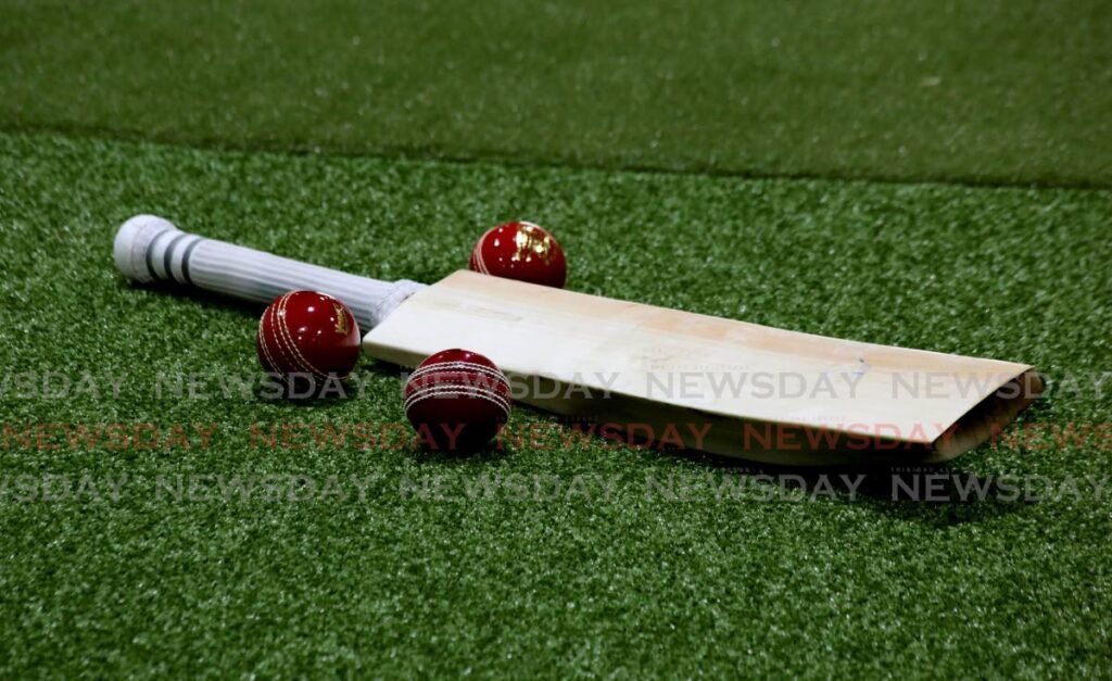 Cricket bat and cricket balls. - File photo