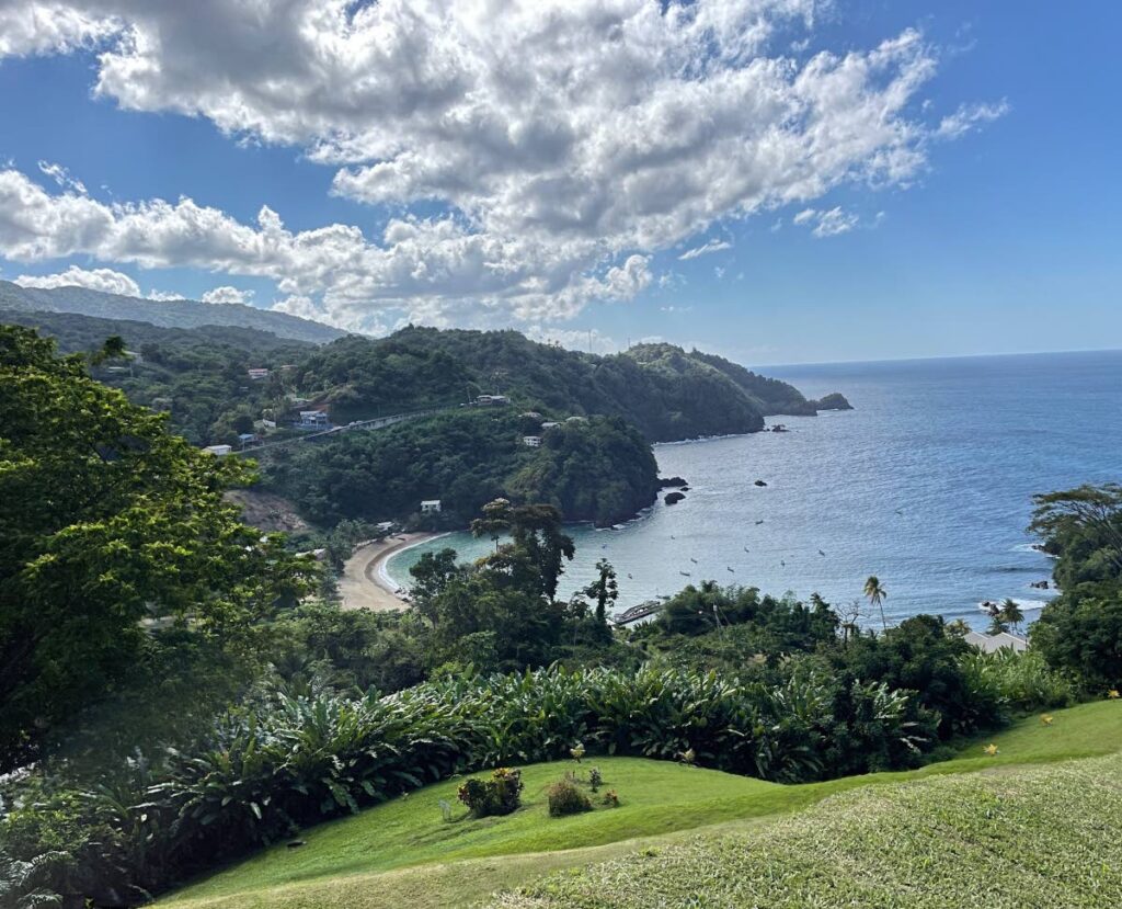 View of Man-o-War Bay from Flagstaff Hill, by Corinne Aaron
 - 