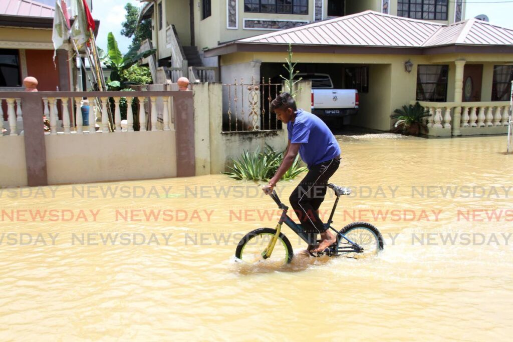 File photo/Angelo Marcelle