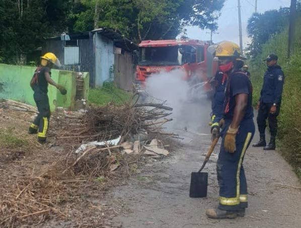 Fire officers clear a road in Castara on Monday after residents blocked it to protest the lack of water.  - TEMA 