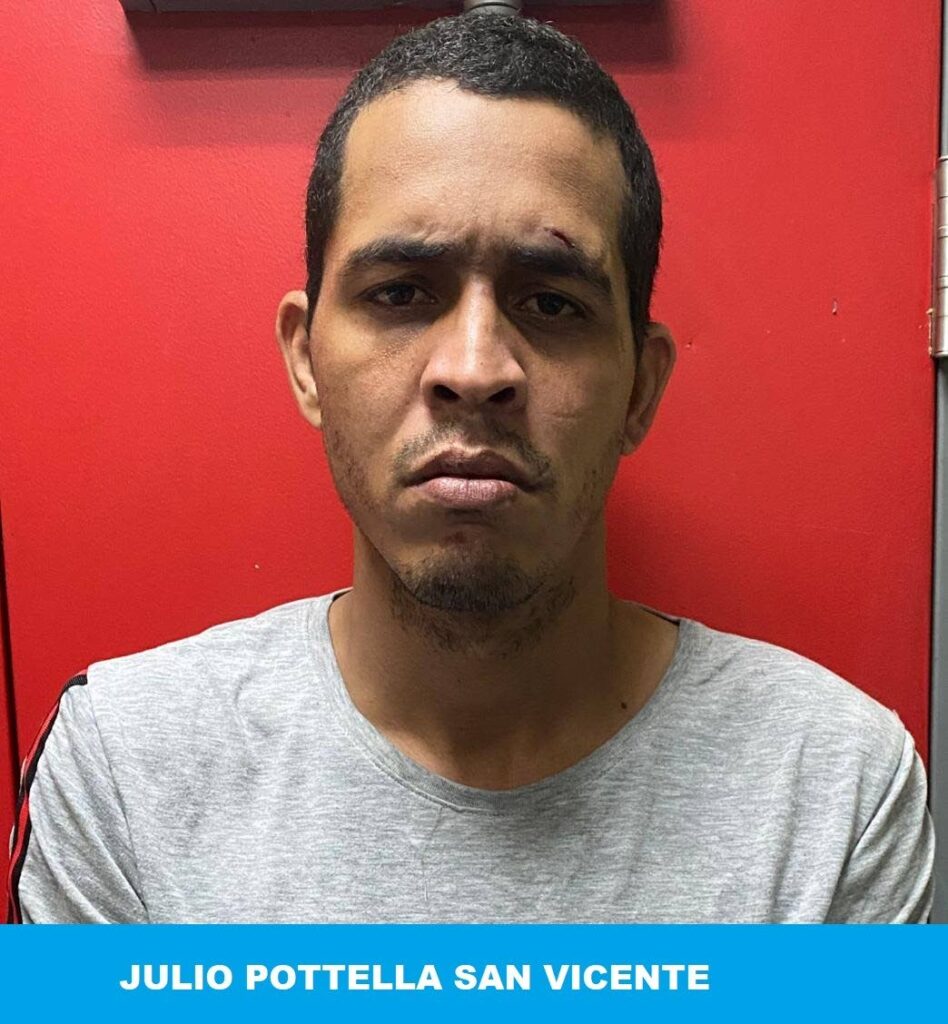 LARCENY: Julio Potella San Vicente. - 