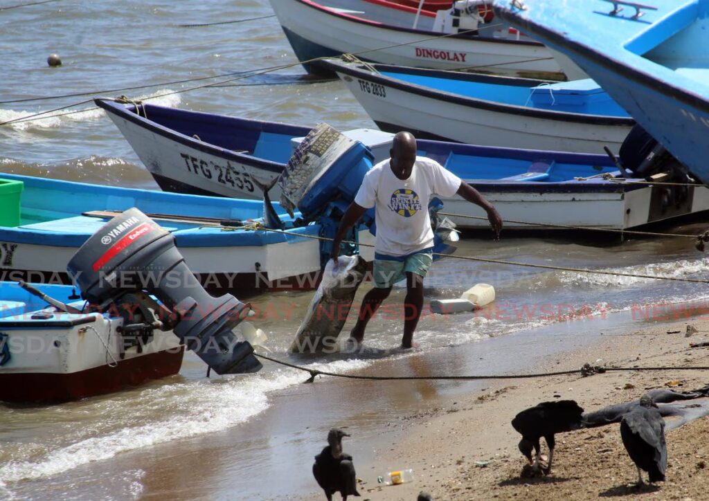 A fisherman pulls his catch to shore after removing it from his boat the Carenage Fishing Centre on Saturday. - SUREASH CHOLAI