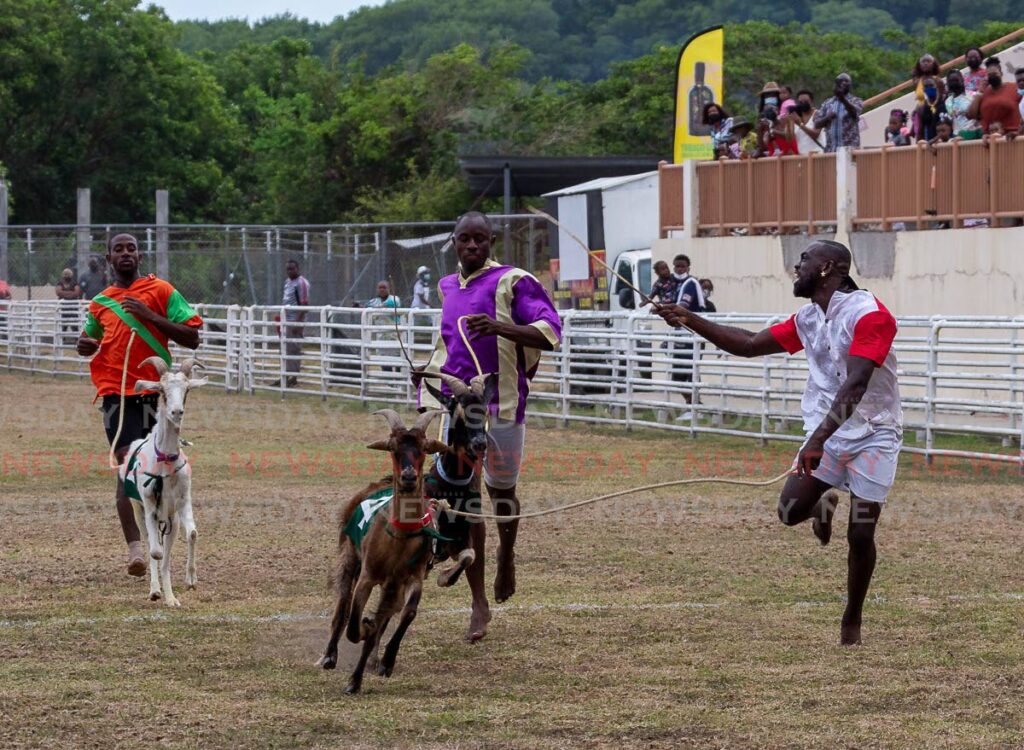 VICTORY: Leroy Kerr, right, celebrates winning goat race six with Gunman in De Whole at A Taste of Buccoo at Buccoo Integrated Facility on Tuesday. Photo by David Reid