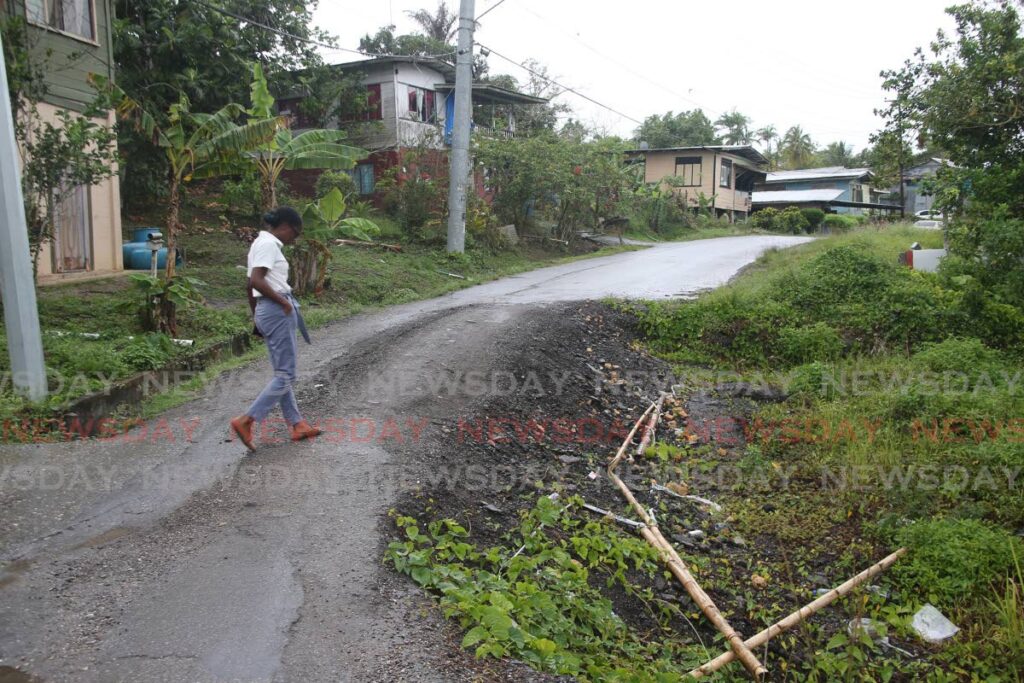 Newsday reporter Laurel Williams looks at a section of the Penal Rock Road damaged by landslips during a visit to the area on Friday. - Lincoln Holder