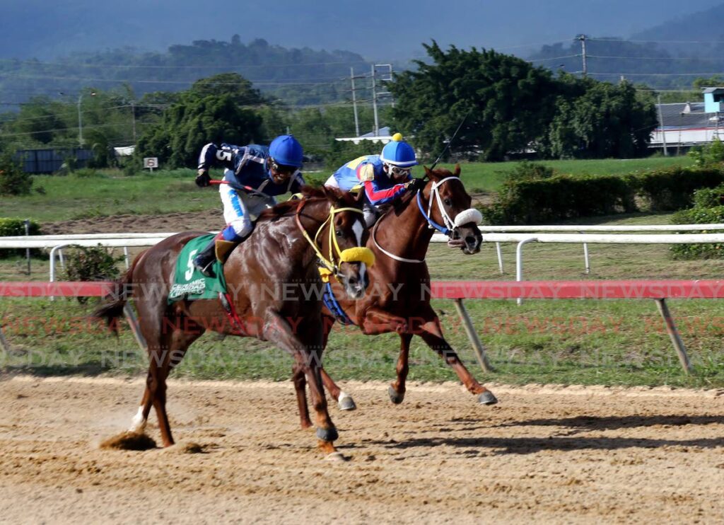 Wise Guy (left), ridden by Kimal Santo, gets past Affirmative, with Prayven Badrie aboard, to win Race Six, at the Arima Race Club (ARC) Race Day 10, at the Santa Rosa Park, Arima on November 13, 2021. - SUREASH CHOLAI