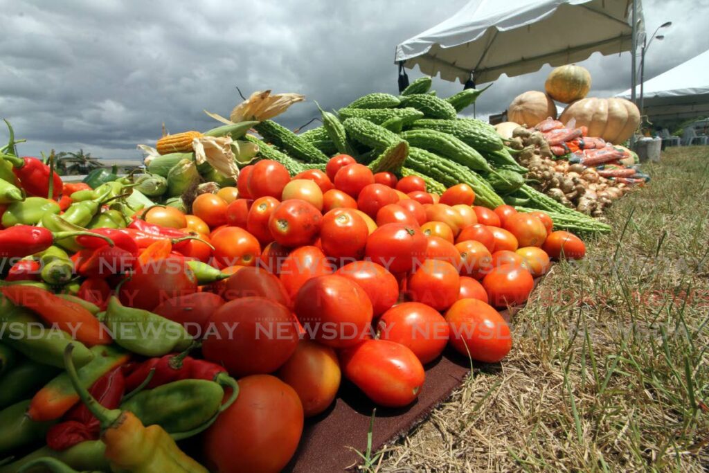 File photo of tomatoes, pumpkin, pimentos, corn and ginger. - Photo by Angelo Marcelle