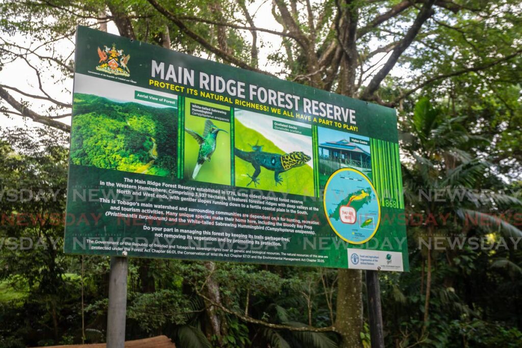 A sign at the entrance of the Main Ridge Forest Reserve. - JEFF K MAYERS