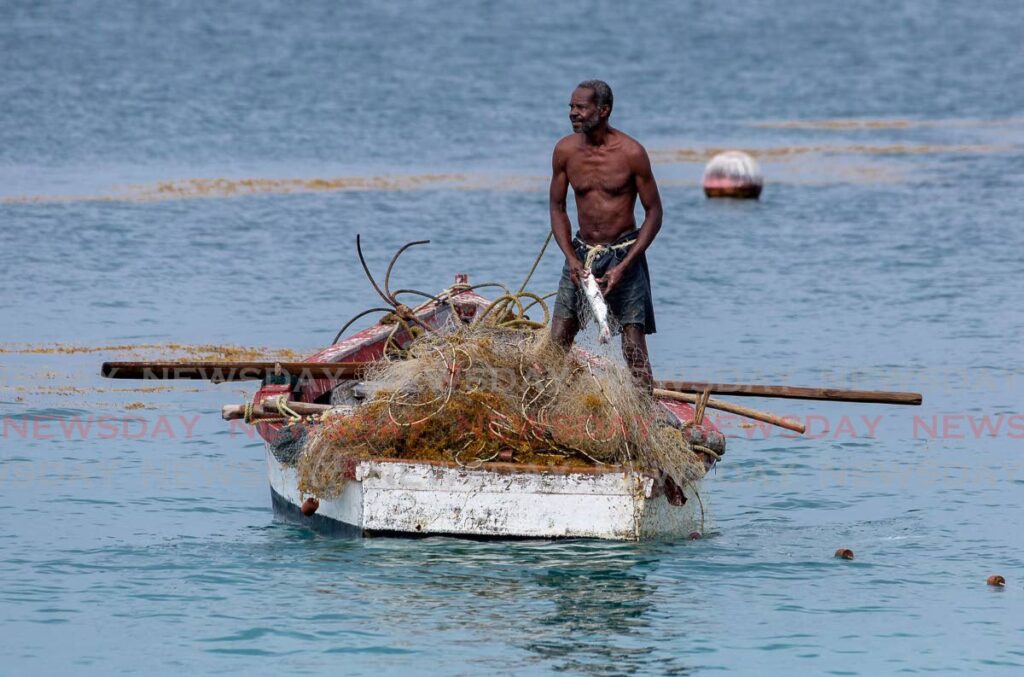 A fisherman holds his lone catch after reeling in his net in his boat at Store Bay, Crown Point. - FILE PHOTO/David Reid