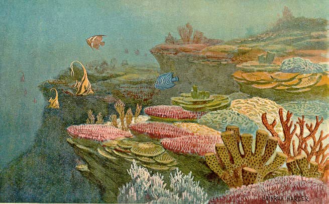 Artist impression of ancient coral reefs by Heinrich Harder.  