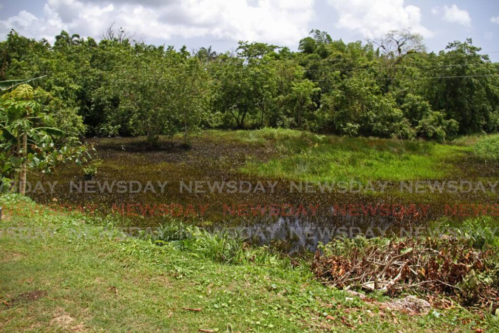 Touchstone Exploration (Trinidad) Ltd and Primera Oil and Gas Ltd worked together at Gowers Well Road in Fyzabad on Thursday to clean up an oil spill.  - Marvin Hamilton