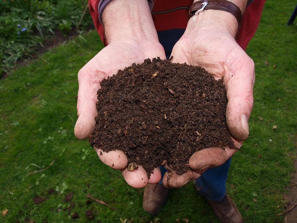Compost is a gardener’s best friend: It improves the drainage of heavy clay soil, increases the moisture-holding capacity of sand and adds high-quality nutrients. - 