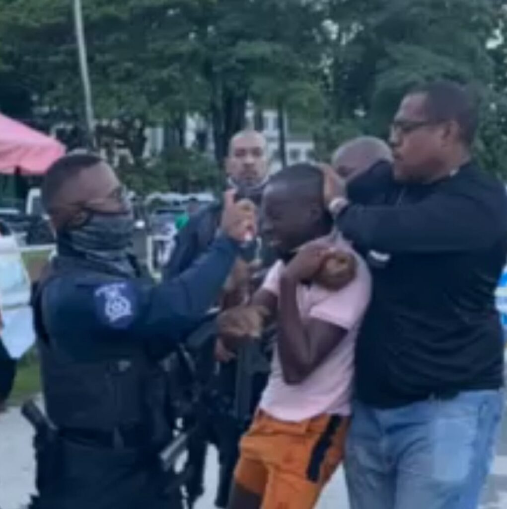 A screenshot of the video recording involving two men who were pepper sprayed and arrested by police at a party on Thursday morning  - 