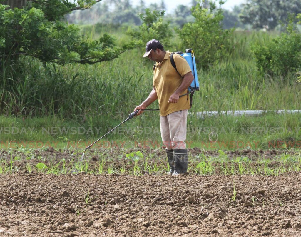 In this June 2021 file photo, a farmer sprays his crops for pests, at his Southern Main Road, Cunupia garden. Dr Vaalmikki Arjoon says its time to adopt 'smart agriculture' including the use of drones to monitor and spray crops. - FILE PHOTO/ANGELO MARCELLE