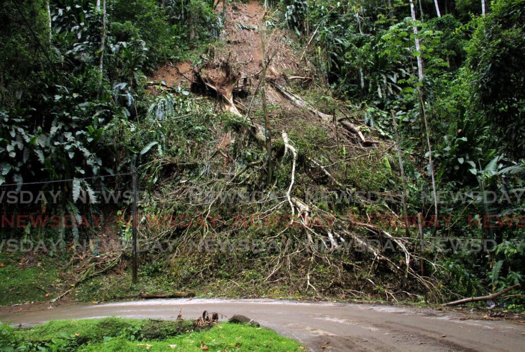 The scars left on the mountainside of Grand Riviere overlooking Paria Main Road after one of many landslides on June 29. - AYANNA KINSALE