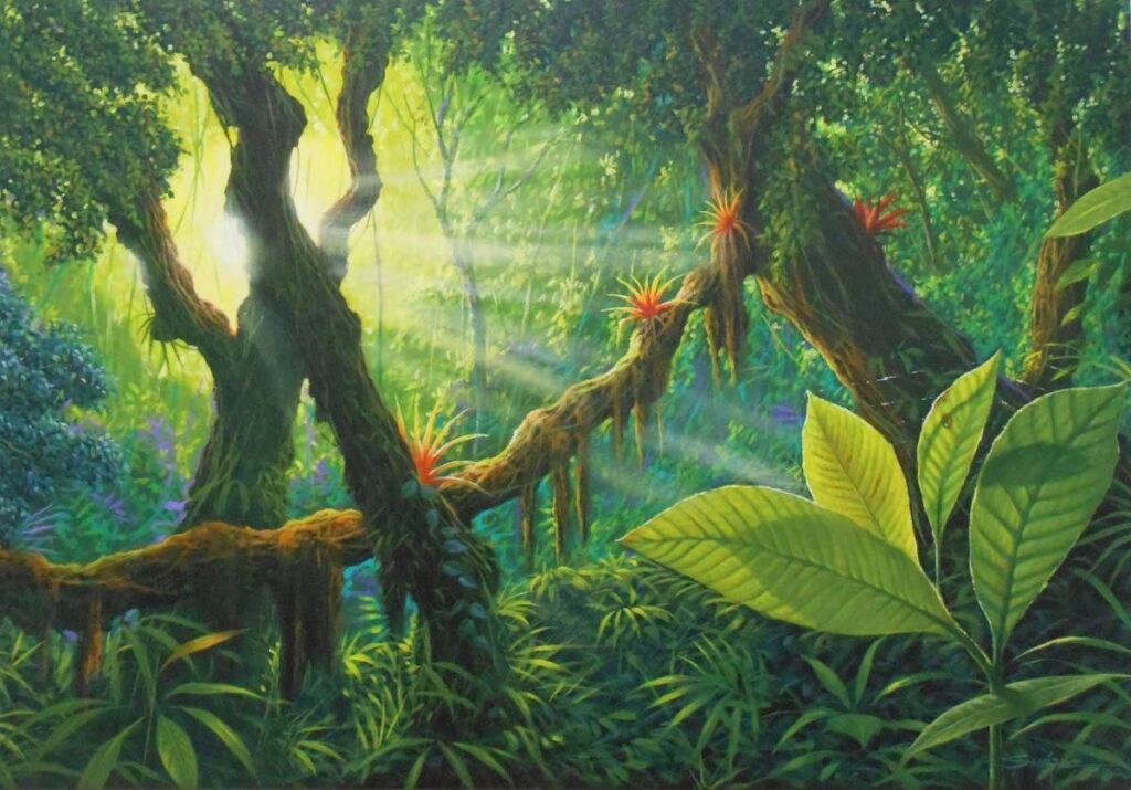 Rainforest Studies 6  - 