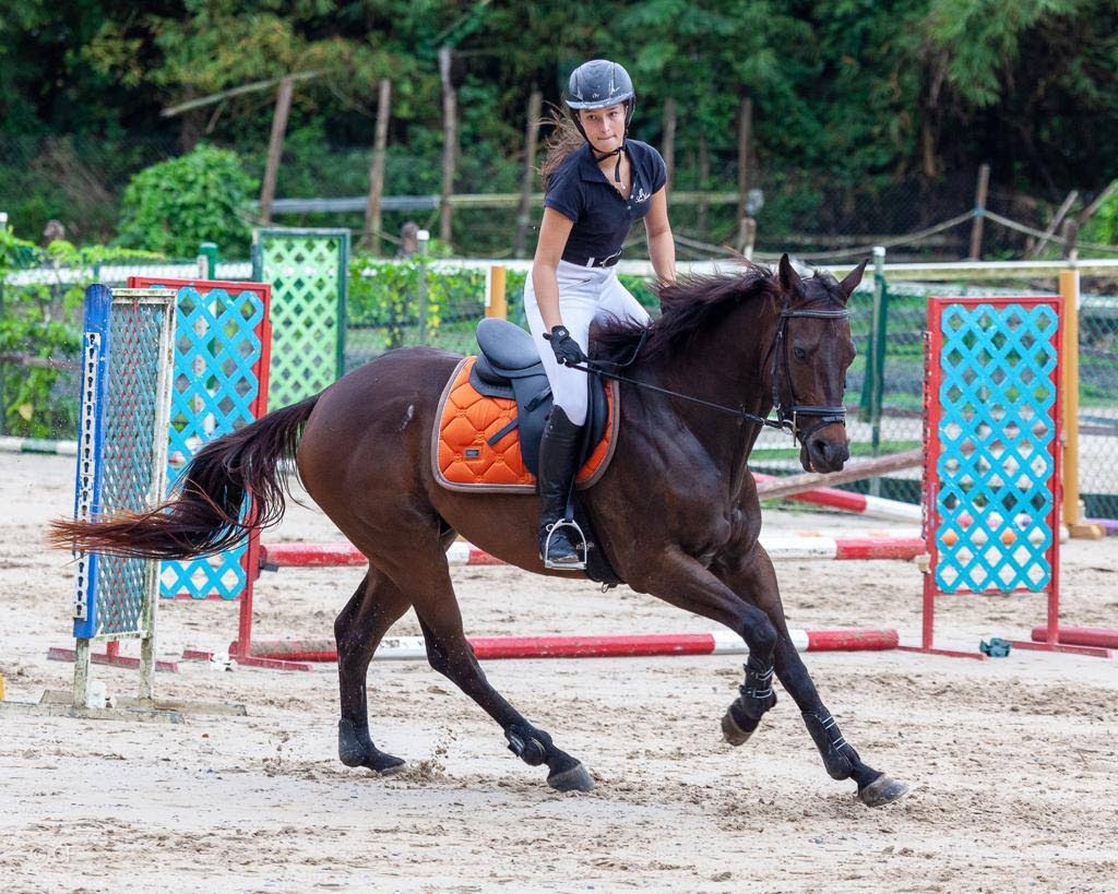 Caitlin Whitling on Gus No Fuss in the FEI RTR course. - Courtesy TTEA