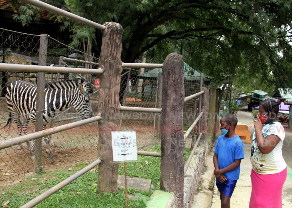 Children admire a zebra at the Emperor Valley Zoo, Port of Spain. File photo/ Ayanna Kinsale