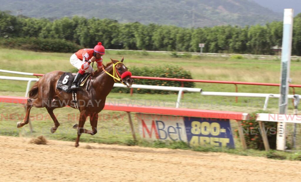 Jockey Brian Boodramsingh rides Crown Prince to victory in the Royal Colours Classic at the Santa Rosa Park on Easter Monday.  - Angelo Marcelle