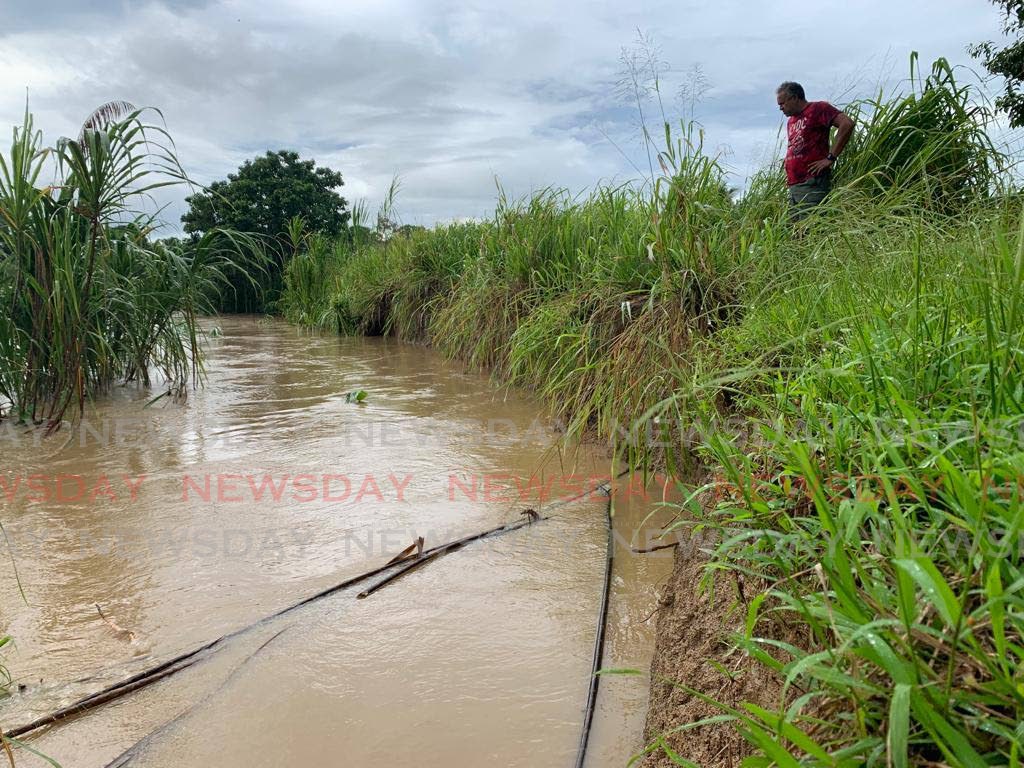 Ibis Gardens resident Jerome Moses surveys the eroding bank of the Caroni River at Jacobin Drive, Caroni on August 5. At left, the area where the bank once stood.  - File photo