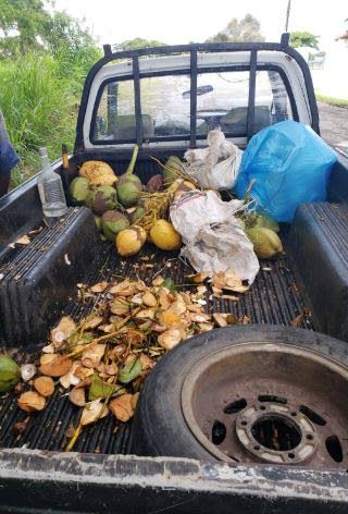The van's tray with green coconut shells in Princes Town on Saturday. 