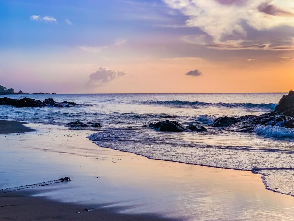 At Stonehaven Bay, a leatherback hatchling makes its maiden voyage after sundown. - Joanne Husain