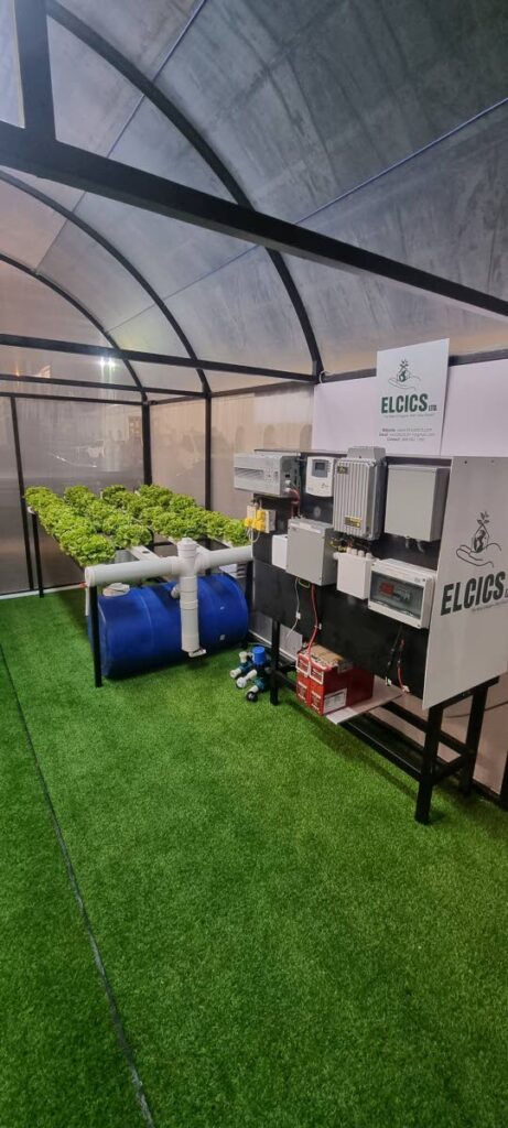 The inside of a self-sustaining, solar-powered greenhouse displayed by hydroponic support company Ariaponics. - Courtesy Ariaponics 
