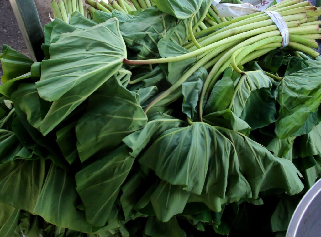 Callaloo bush can be used in a soup, or in a rice and even cooked like spinach, but think a bit further and it can be the filling for a light and dreamy crepe. - SUREASH CHOLAI