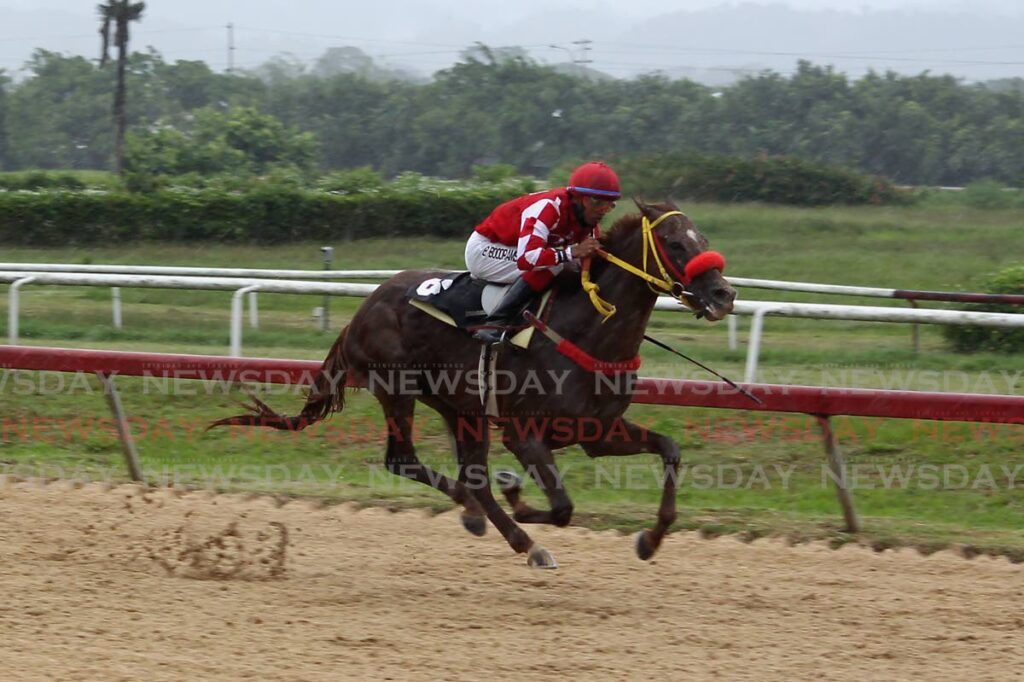 Stroke of Luck, ridden by Brian Boodramsingh, wins the Carib Brewery Trinidad Derby at the Santa Rosa Park, Arima on December 11, 2021. - ROGER JACOB