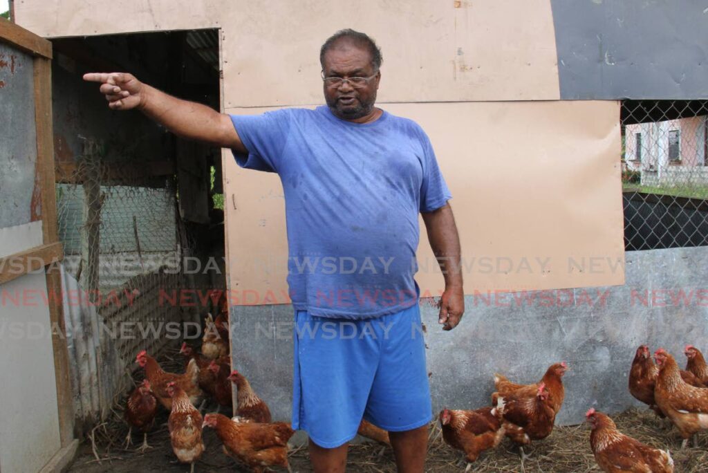 Bobby Bansgopaul, a resident and poultry farmer of Pluck Road in Woodland speaks with Newsday, he said he lost a number of layers, including ducks, ducklings chickens and chics following heavy floodwaters that were still visible. - Photo 
 by Marvin Hamilton