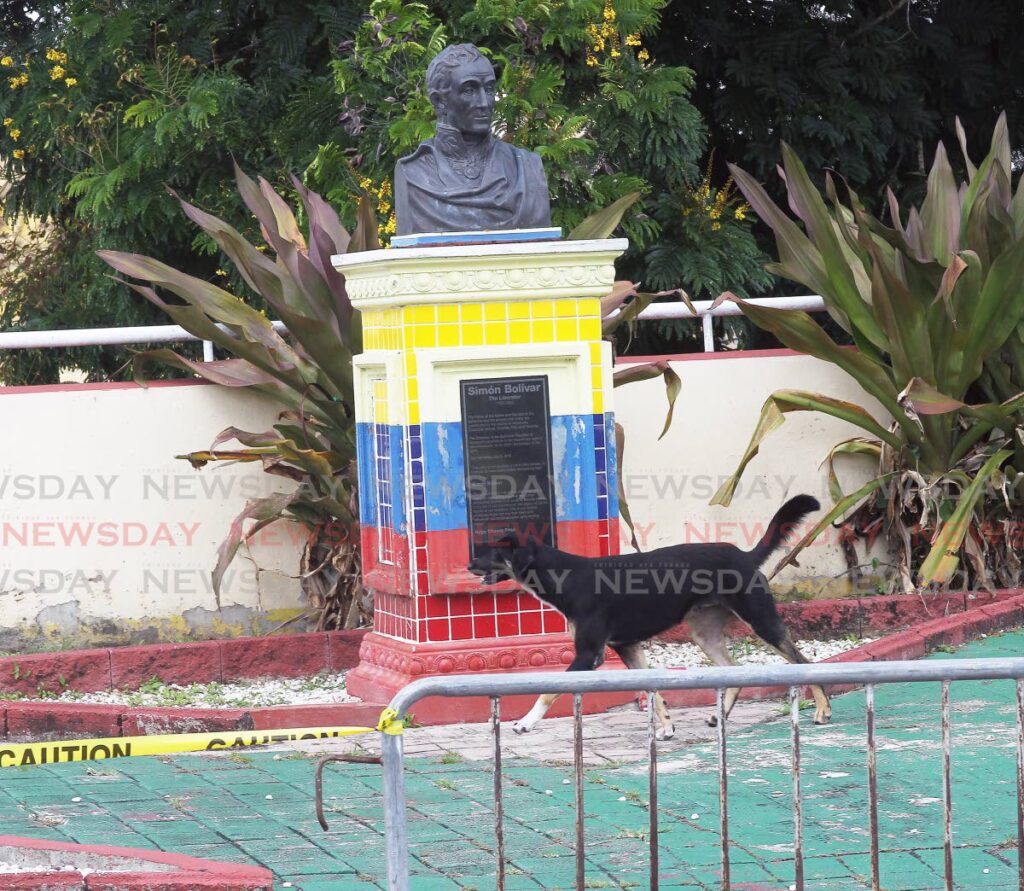 A stray dog on the Harris Promenade in San Fernando. Photo by Lincoln Holder