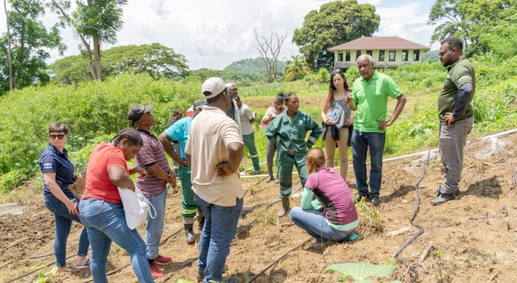 URP participants and local farmers learn about climate smart agriculture during a programme in collaboration with the USAID John Ogonowski and Doug Bereuter Farmer-to-Farmer program - DIQUD