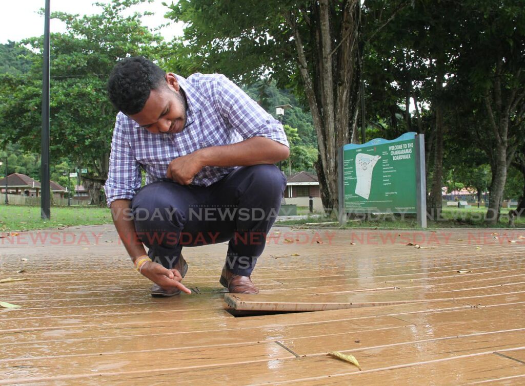 Newsday reporter Nicholas Maraj points to a broken board at the Chaguaramas Boardwalk on October 26. The condition of the boardwalk has been allowed to deteriorate over the past four years. - Photo by Ayanna Kinsale