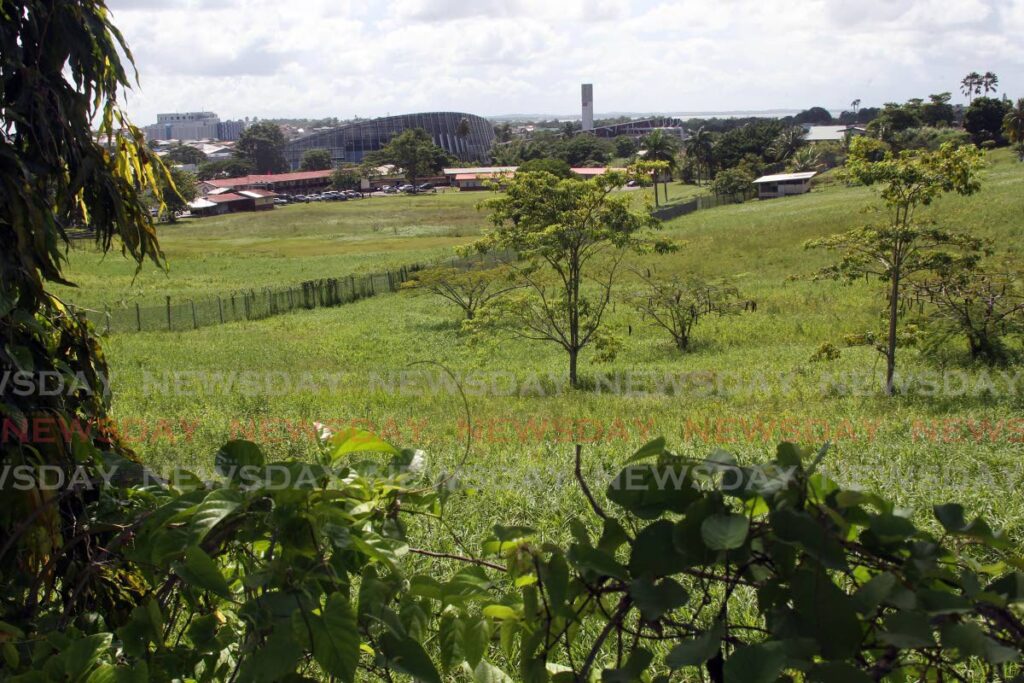 The contentious piece of land at Todds Street, San Fernando which is earmarked for HDC housing. Photo by Lincoln Holder