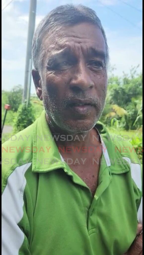 Farmer Vijay Ramsaroop said recent floods have destroyed his pepper fields at Rahamut Trace, South Trinidad and believes the price of produce will go up in the market.  - Yvonne Webb