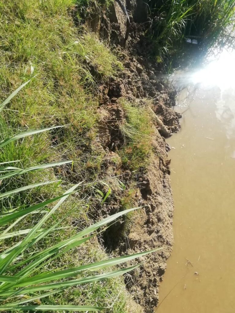 The eastern bank of the St Joseph River, which borders Bamboo No 2 is currently collapsing. Residents are hoping the authorities will reinforce the bank before it gets worse. - Photo courtesy Roshan Naipaul