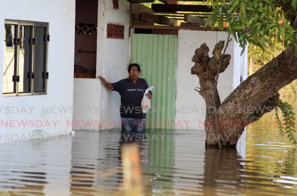 A resident of Jaffar Street, Bamboo No 2 stands in her yard in thigh-high floodwater on Tuesday. Photo by Roger Jacob