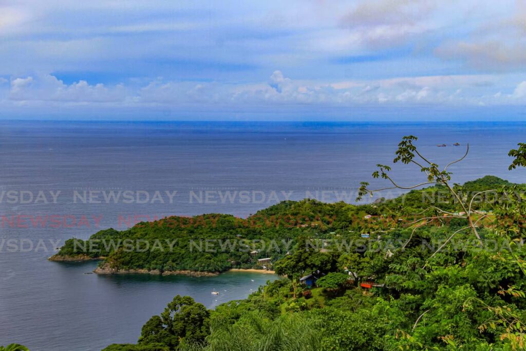 The Castara Bay seen from the Mount Dillon lookout on Northside Road, Moriah. Photo by Ayanna Kinsale