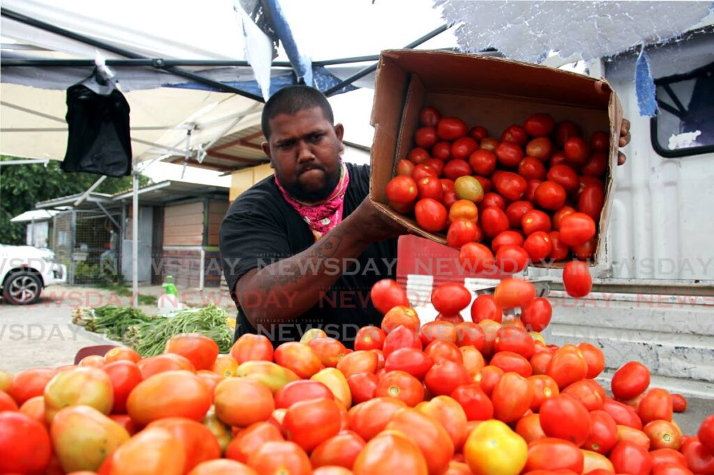 In this February file photo, vendor Amar Ranarine packs his van with tomatoes in Chaguanas. At that time, he sold the produce at four pounds for #20. - Ayanna Kinsale