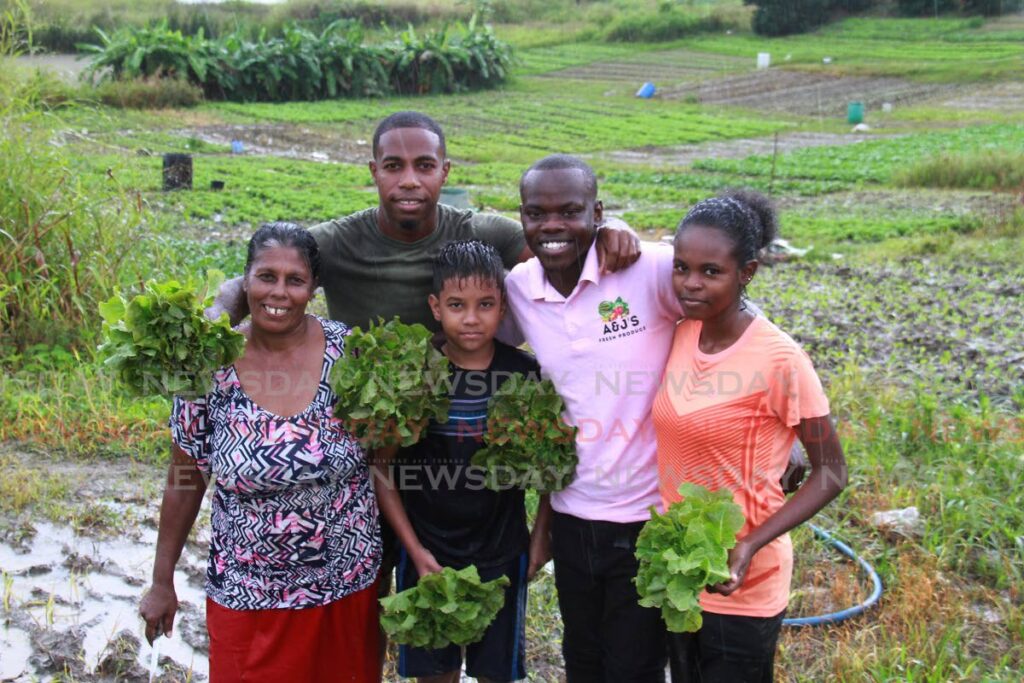 Curtis Carabai, second from left, owner of Carabai Fresh Produce, and Joshua Hercules, second from right, of A&J's Fresh Produce together with members of the community display lettuce from their farm in Mon Desir, South Oropouche. - MARVIN HAMILTON