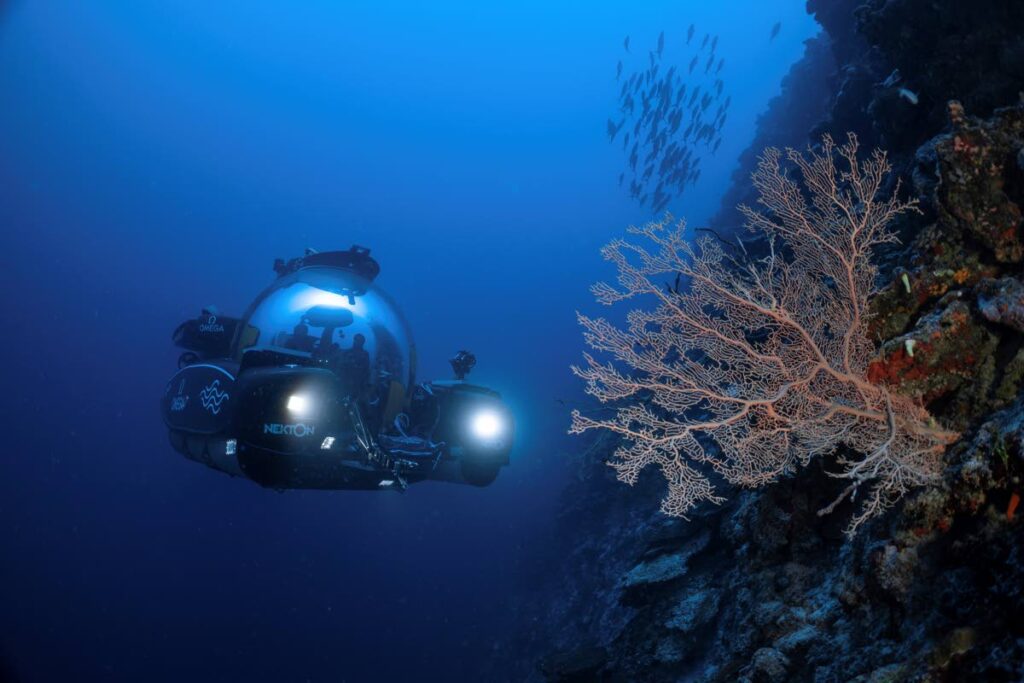 Scientists on the Nekton Maldives Mission believe they have likely discovered a previously undescribed ecosystem that is creating an oasis of life 500 metres down in the depths of the Indian Ocean. AP Photo - 