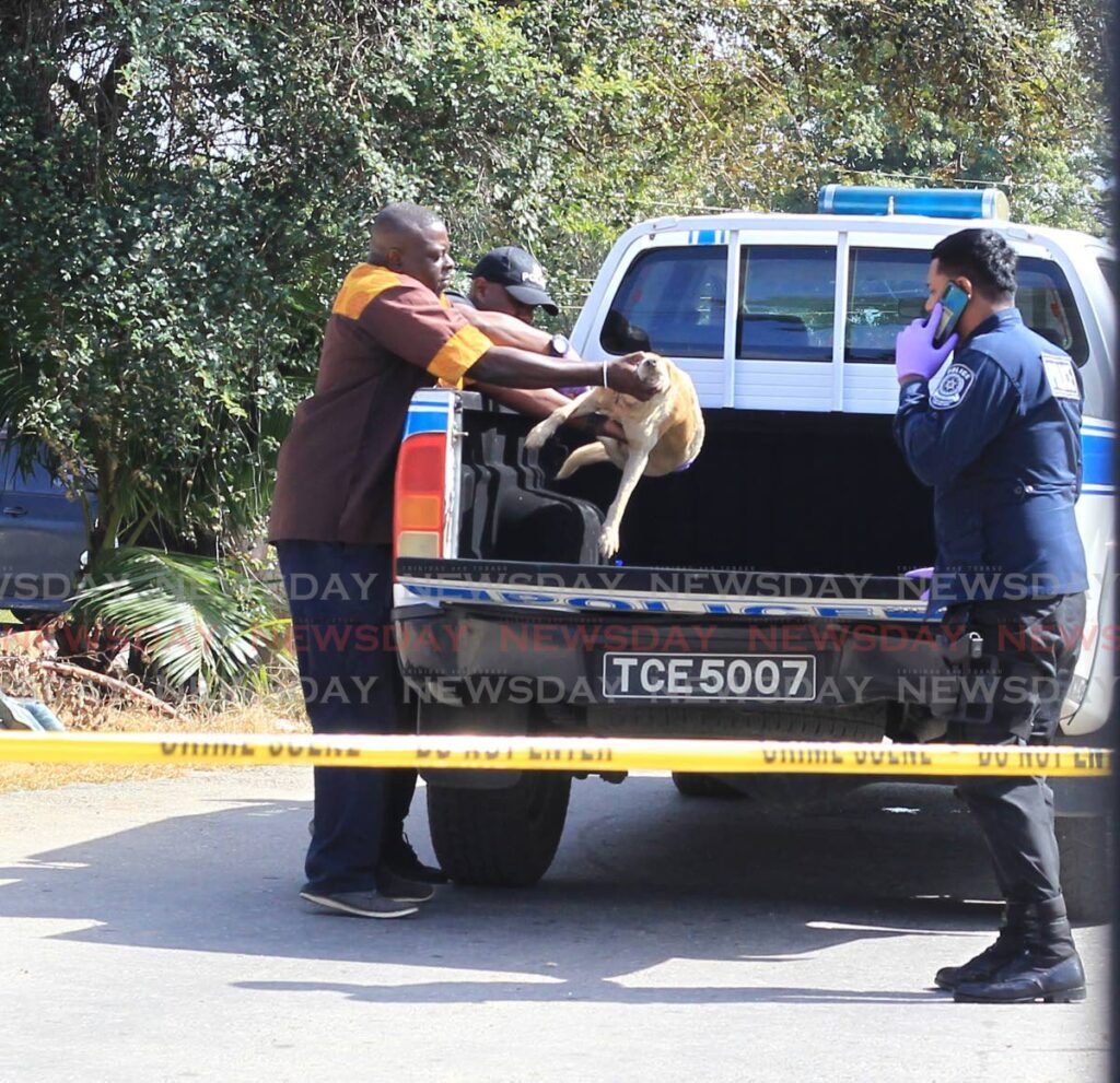 Police place a dog wounded during a shooting incident at Streatham Lodge Cemetery, Tunapuna, in a van to be taken for treatment on Thursday. The dog was ethuanised at the veterinary clinic, Eric Williams Medical Sciences, Complex, Mt Hope. - ROGER JACOB