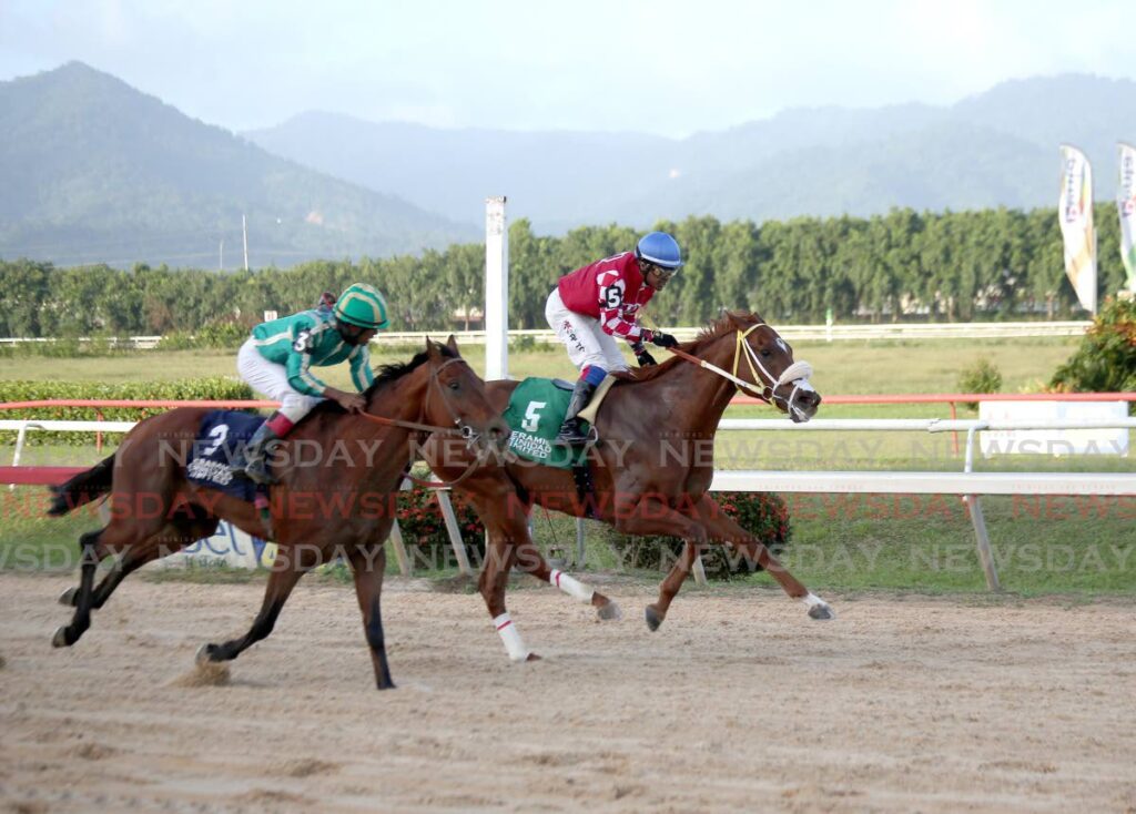 Crown Prince (right), ridden by Kimal Santo, wins the Edmund De Freitas Gold Cup, ahead of Just Exhale, ridden by Jovika Boodramsingh, at the Santa Rosa Park, Arima on Tuesday. Photo by Sureash Cholai